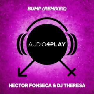 Bump 2013 (Remixes)