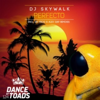 DJ Skywalk