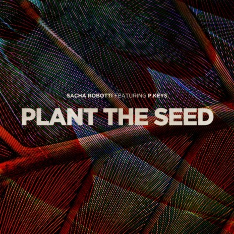 Plant The Seed ft. p. keys | Boomplay Music