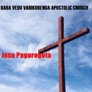 Baba Vedu Varikudenga Apostolic Church