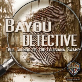 New Bayou Swamp Band