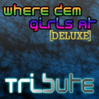 D. Guetta & Flo Rida - Where them girls