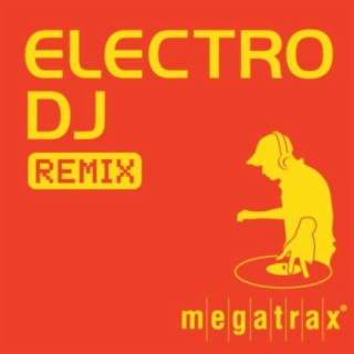 DJ Electro X