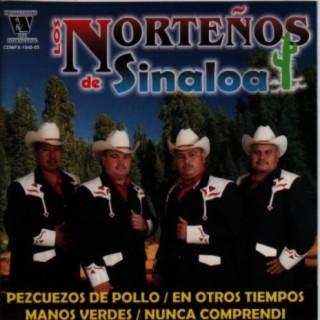 Los Norteños de Sinaloa Songs MP3 Download, New Songs & New Albums |  Boomplay