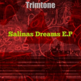 Salinas Dreams E.P