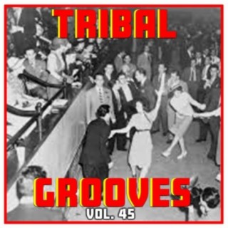 Tribal Grooves, Vol. 45