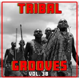 Tribal Grooves, Vol. 38