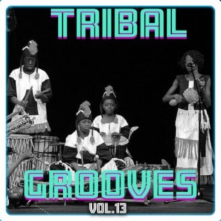 Tribal Grooves, Vol. 13