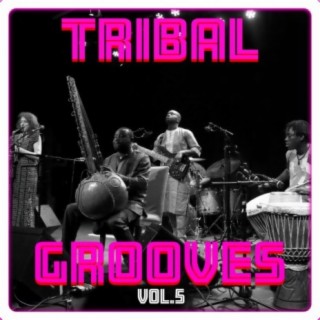 Tribal Grooves, Vol. 5