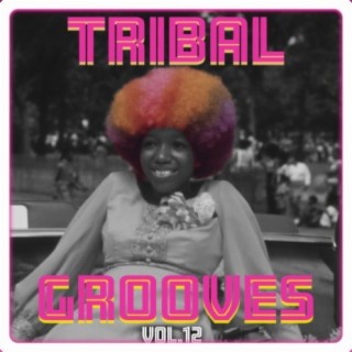 Tribal Grooves, Vol. 12