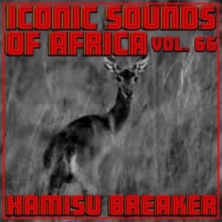 Iconic Sounds of Africa, Vol. 66