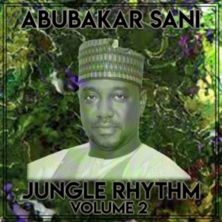 Jungle Rhythm, Vol. 2