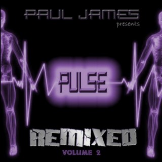 Pulse Remixed Volume 2