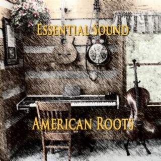 Essential Sound American Roots