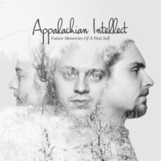 Appalachian Intellect