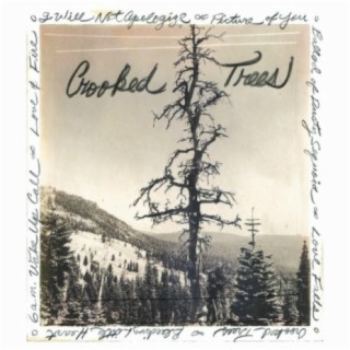 Crooked Trees