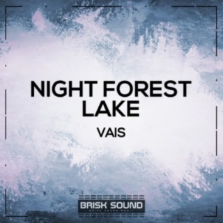 Night Forest / Lake