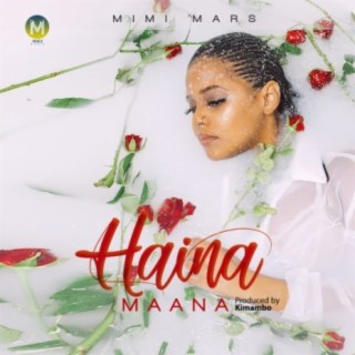 Haina Maana lyrics | Boomplay Music