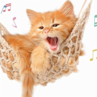 Cat Music