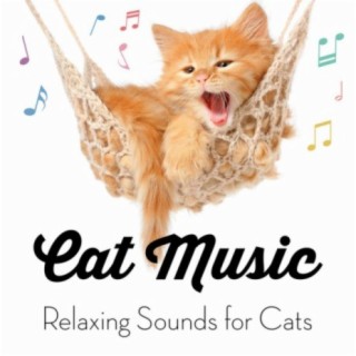 Music for Cats