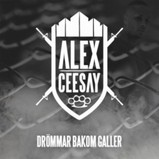 Alex Ceesay