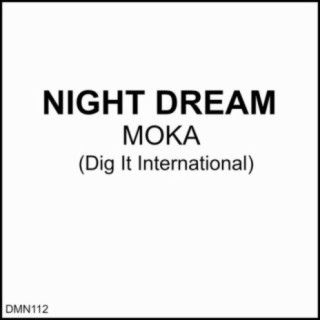 Night Dream