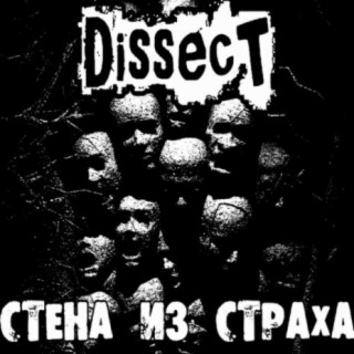 Dissect