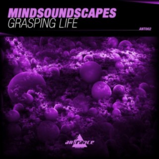 Mindsoundscapes