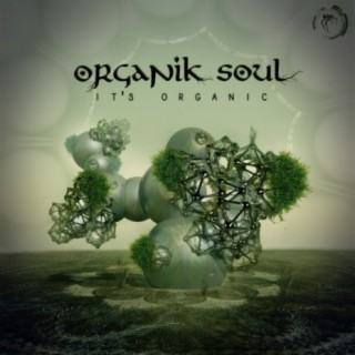 Organik Soul