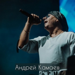 Андрей Камаев