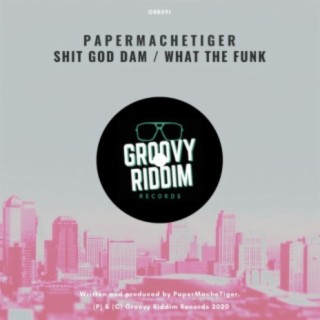 Shit God Dam / What The Funk