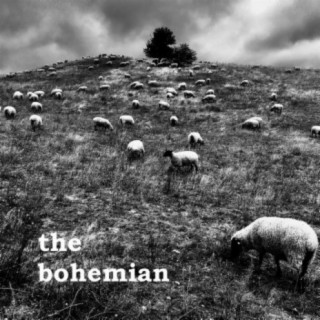 The Bohemian