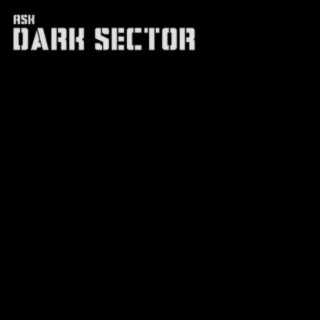 Dark Sector