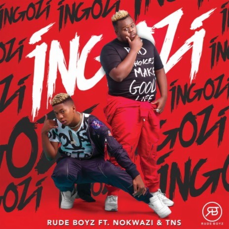 Ingozi ft. Nokwazi & TNS | Boomplay Music