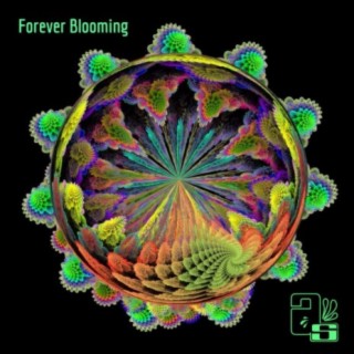 Forever Blooming