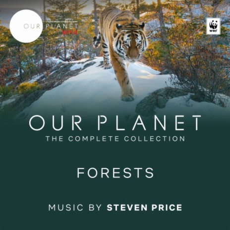 Regeneration (From "Our Planet") | Boomplay Music