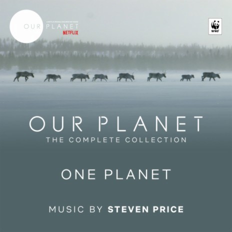 Death Bucket (From "Our Planet") | Boomplay Music