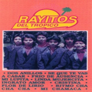 Rayitos del Tropico