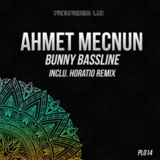 Bunny Bassline