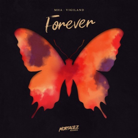 Forever ft. Vigiland | Boomplay Music