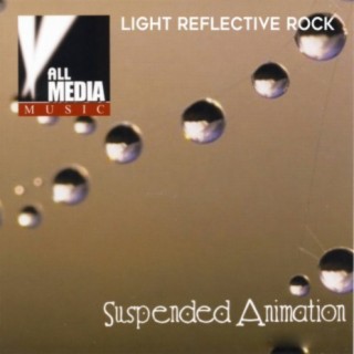 Suspended Animation: Light Reflective Rock