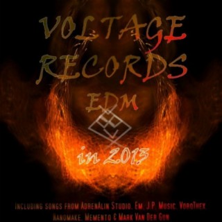 Voltage Records Edm In 2013