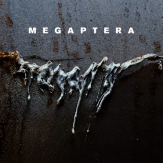 Megaptera