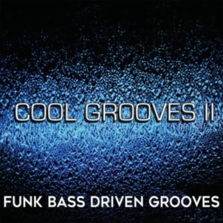 Cool Grooves, Vol. 2: Funk Bass Driven Grooves