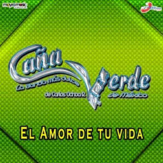 El Amor de Tu Vida