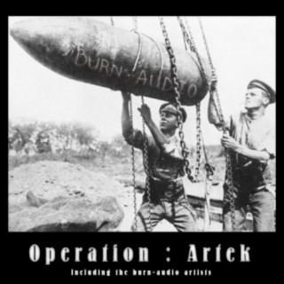 Operation: Artek