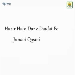 Junaid Qasmi