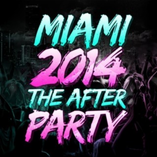 Miami 2014 - The After Party