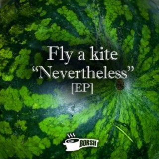 Fly A Kite