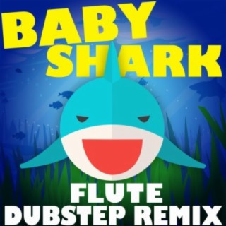 Baby Shark (Flute Dubstep Remix)